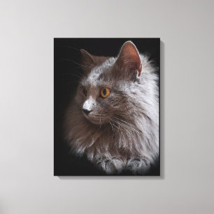 Mooie Russische Blauwe Grijze Kat Nebelung Canvas Afdruk