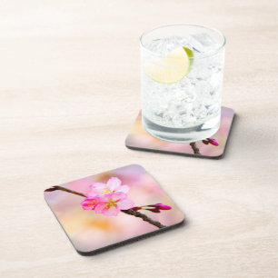 Mooie Sakura Cherry Blossom Bier Onderzetter