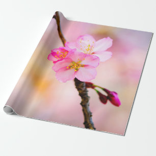 Mooie Sakura Cherry Blossom Cadeaupapier