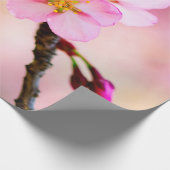 Mooie Sakura Cherry Blossom Cadeaupapier (Hoek)