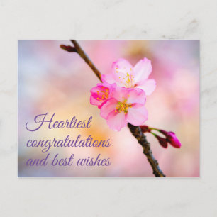 Mooie Sakura Kersenbloesem Ansichtkaart Briefkaart