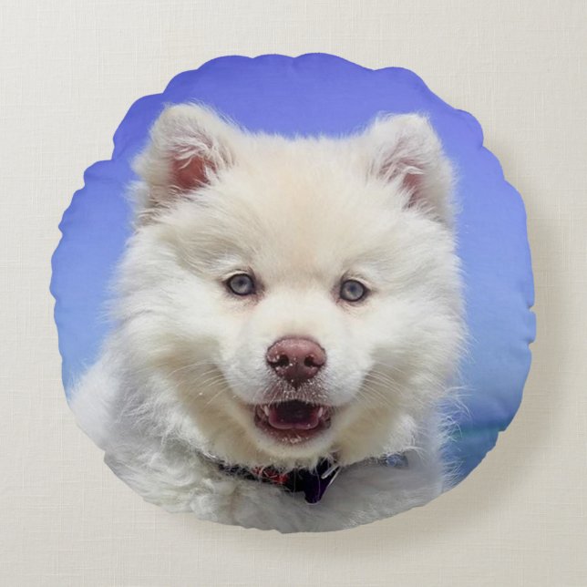 Mooie Samoyed Dog Rond Kussen (Voorkant)