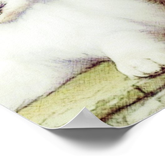 Mooie Samoyed en Engelse Shepherd Pups Poster (Hoek)