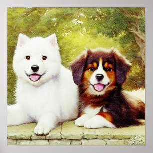 Mooie Samoyed en Engelse Shepherd Pups Poster