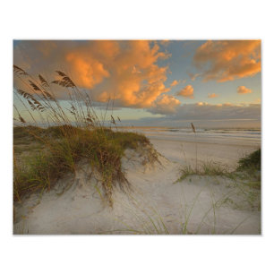 Mooie Sand Dunes in Daytona Beach, FL Foto Afdruk