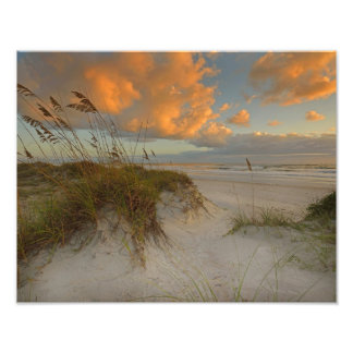 Mooie Sand Dunes in Daytona Beach, FL Foto Afdruk