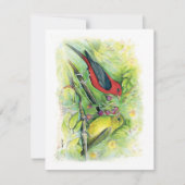 Mooie Scarlet Tanager Paar Note Kaart (Voorkant)