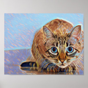 Mooie schattige kat blauwe ogen poster