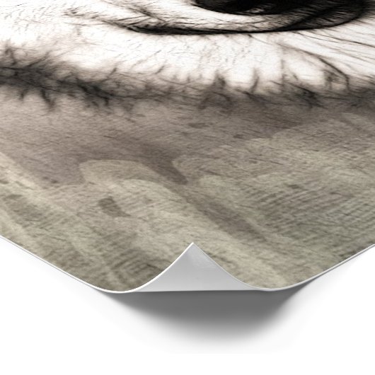 Mooie schets van het Poster van het gezicht van Wo (Hoek)