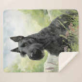Mooie Scottie Sherpa Deken (Voorkant (horizontaal))