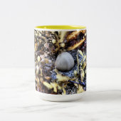 Mooie Seashell Tweekleurige Koffiemok (Center)