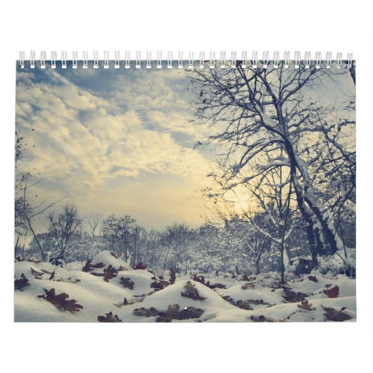 Mooie seizoensgebonden afbeeldingen kalender (Hoes)
