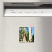 Mooie Sequoia magneet! Magneet (Insitu (Vaatwasser))