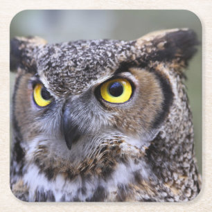 Mooie set Onderzetters