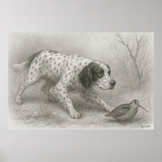 Mooie setter, kunst poster (Voorkant)