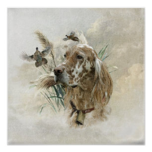 Mooie Setter met fazanten , Kunst Perfect Poster