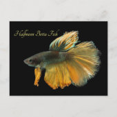 Mooie Siamese gevechtsvis Betta Halfmoon Briefkaart (Voorkant)
