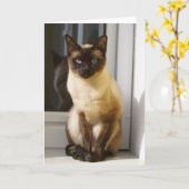 Mooie Siamese kat Kaart (Gele Bloem)