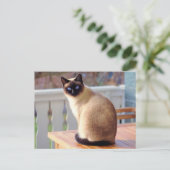 Mooie Siamese kat met blauwe ogen Briefkaart (Staand voorkant)