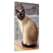 Mooie Siamese kat met blauwe ogen Klembord (Rechts)