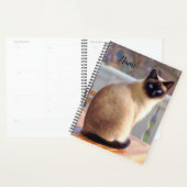 Mooie Siamese kat met blauwe ogen Planner (Display)