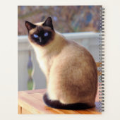 Mooie Siamese kat met blauwe ogen Planner (Achterkant)