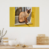 Mooie Siamese kat Poster (Keuken)