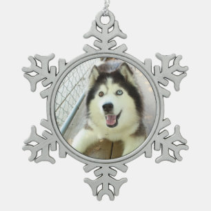 Mooie Siberian Husky Ornament