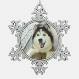 Mooie Siberian Husky Ornament