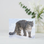 Mooie sneeuwluipaard briefkaart (Staand voorkant)
