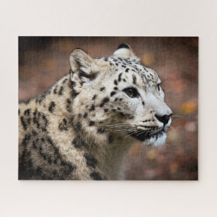 Mooie sneeuwluipaard, puzzel