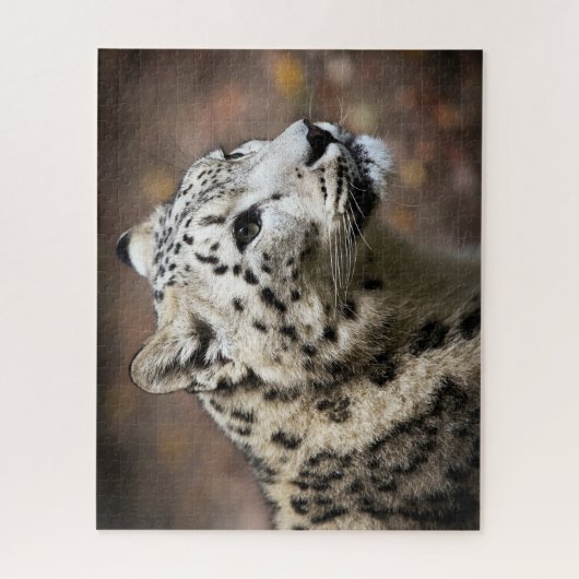 Mooie sneeuwluipaard, puzzel legpuzzel (Verticaal)