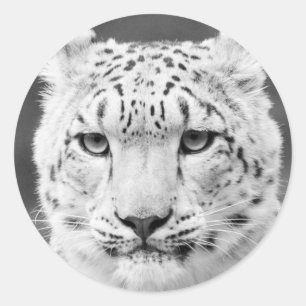 Mooie sneeuwluipaard zwart-wit portret ronde sticker