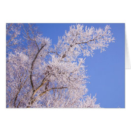 Mooie sneeuwscène foto