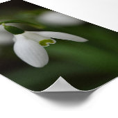 Mooie sneeuwval dicht poster (Hoek)