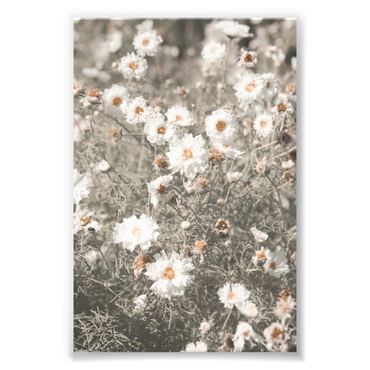 Mooie Sneeuwwitje Wildflower Bloemen Foto Afdruk (Voorkant)