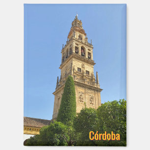 Mooie stad Cordoba in Spanje, reizen Magneet