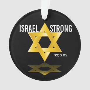 Mooie ster van David Ornament