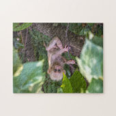 Mooie stommeling Macaque Legpuzzel (Horizontaal)