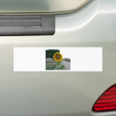 Mooie Stunning Zonnebloem Bumpersticker (Op auto)