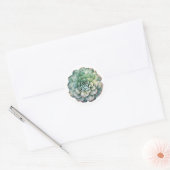 Mooie Succulent Flower Waterverf Ronde Sticker (Envelop)