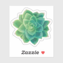 Mooie, Succulente Plant Lover Sticker