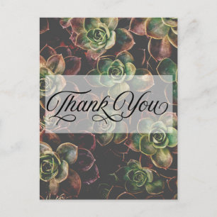 Mooie #Succulenten Planten Dank Je Briefkaart