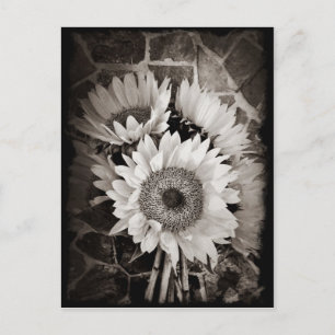 Mooie Sunflower Bouquet Foto in zwart-wit Briefkaart