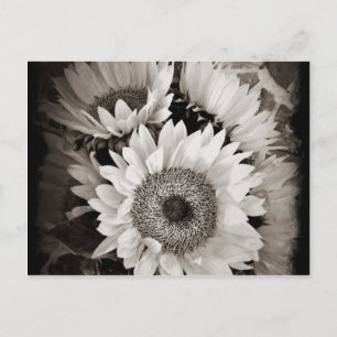 Mooie Sunflower Bouquet Foto in zwart-wit Briefkaart
