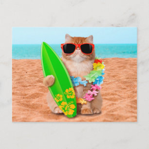 Mooie surferkat op het strand briefkaart