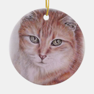 Mooie tabby Cat Art-tekening voor kattenbroodjes Keramisch Ornament