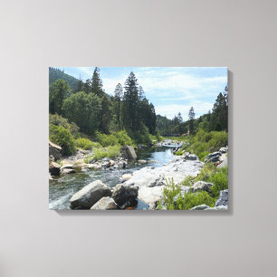Mooie Tahoe-schildpad Canvas Afdruk