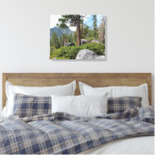 Mooie Tahoe-schildpad Canvas Afdruk (Insitu (Slaapkamer))