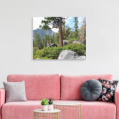 Mooie Tahoe-schildpad Canvas Afdruk (Insitu (Woonkamer))